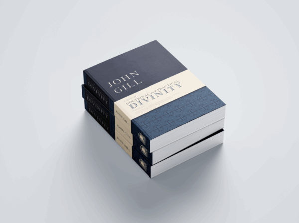 A Body of Doctrinal and Practical Divinity: Abridged - Image 6